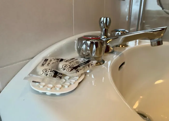 Mamma Ciccia - Front Apartment, And Swimming Pool * Lierna